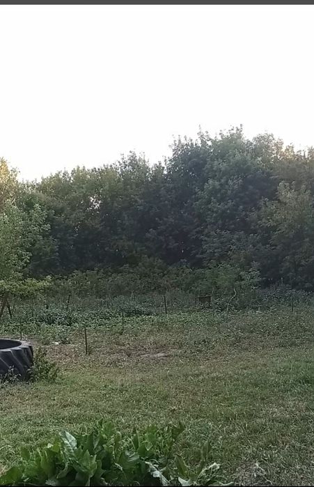 Продам дом п. Байнасай Мартукский район