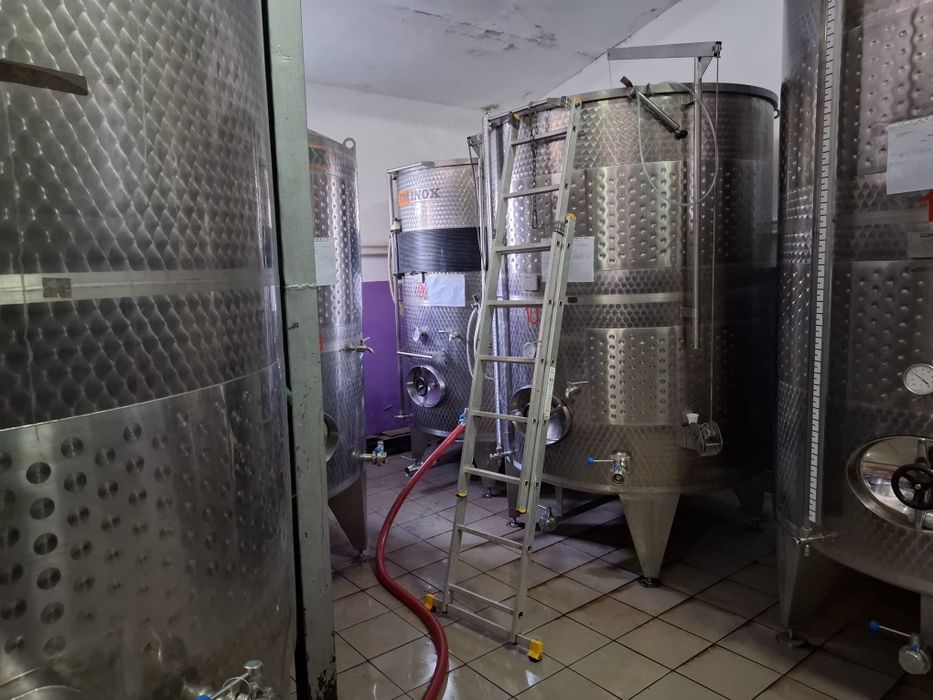 Vând domeniu Viticol si Crama in podgoria Dragasani