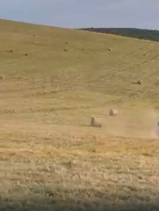 Vand Baloti Baloti Fân 2025