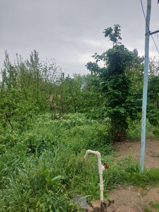 Участок сотилади 2 та тайор хонаси бор