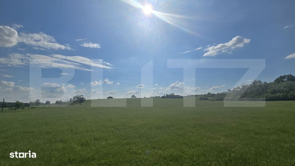 Teren agricol, comasat, apa, curent, 755000 mp, langa autostrada, Timi