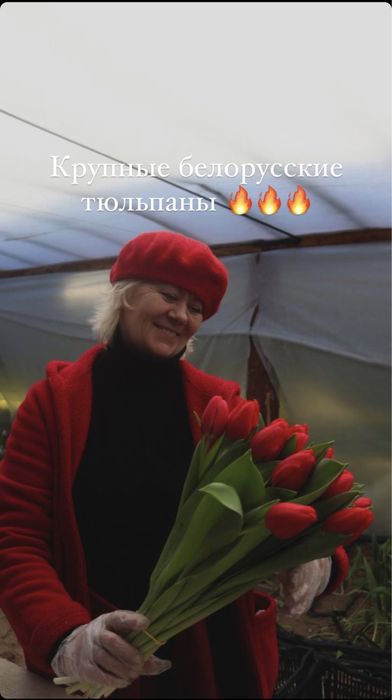 Тюльпаны оптом и в розницу