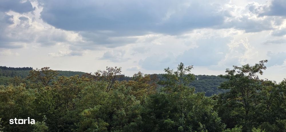 Teren Extravilan 9.528mp/ Vârciorog -Bihor / 30 km de Oradea