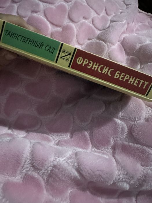 Книга Таинственный сад