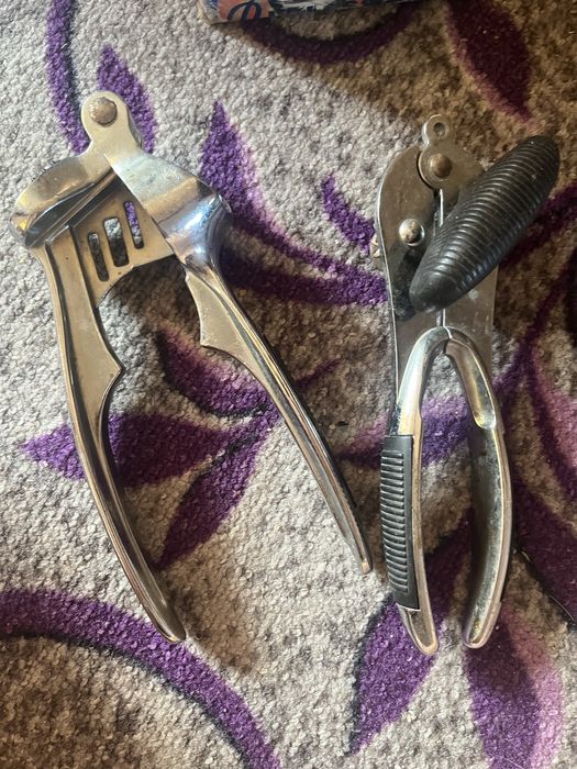 Отдам самовывоз …………………