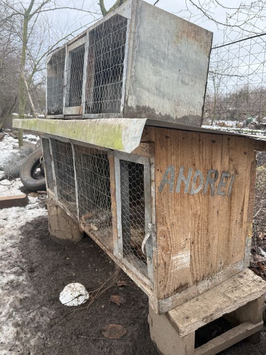 Vand cuști pentru iepuri