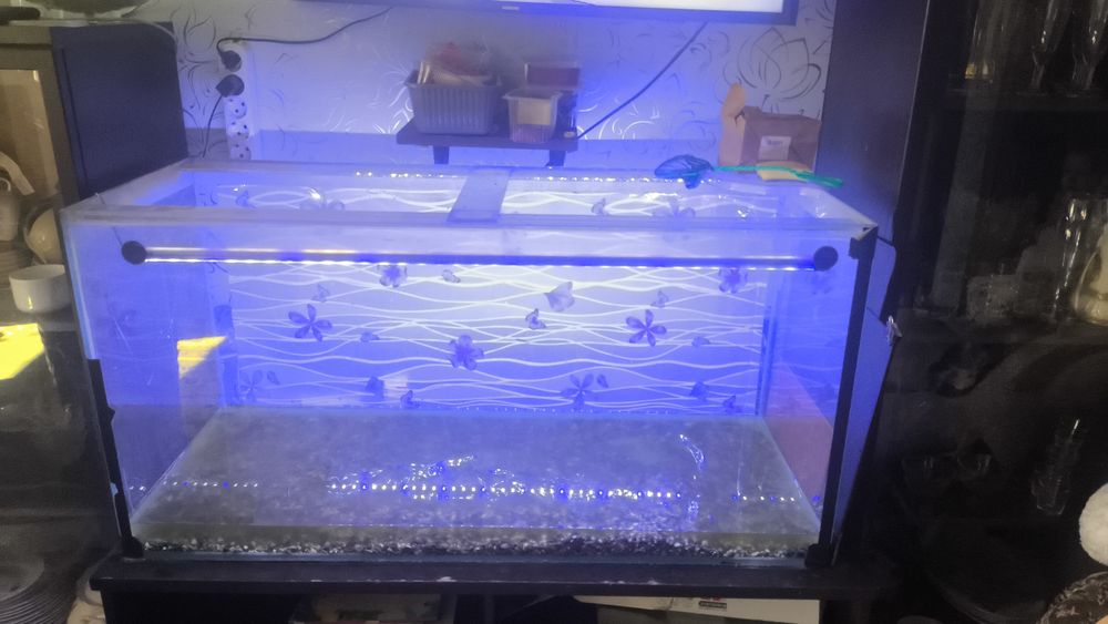 Продам аквариум 250 литров .