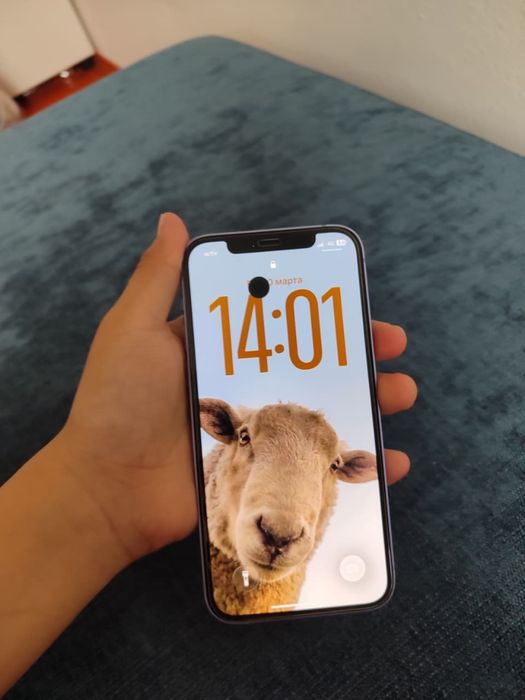 Iphone 12 фиолетовый