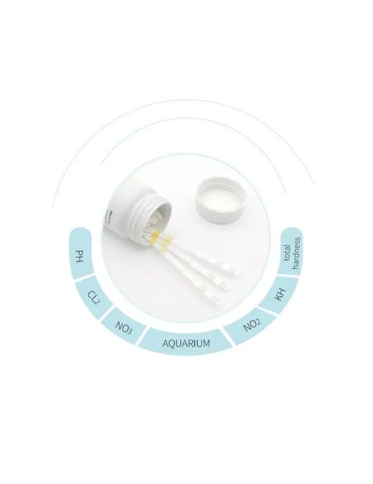 Аквариум аквариум