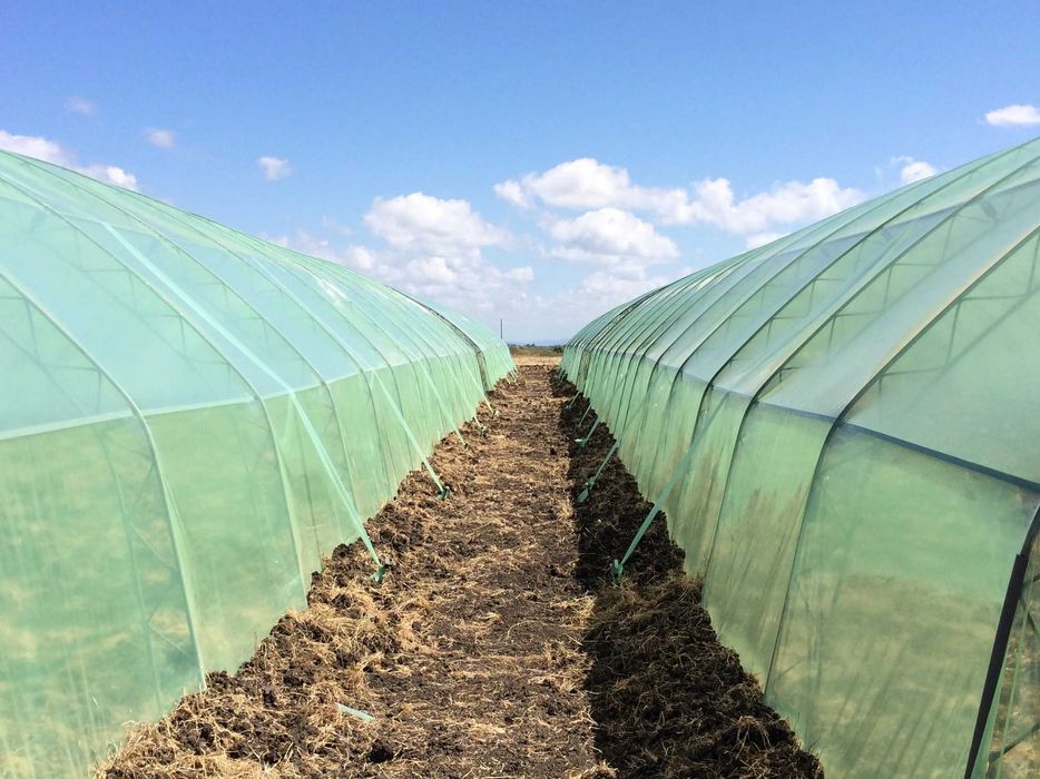 УВ Стабилизираща лента за оранжерии 12см UV 250 мик укрепваща препаски