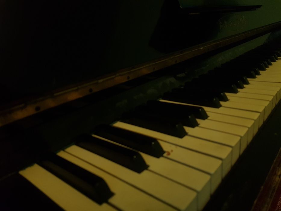 Беларус ФортеПианино