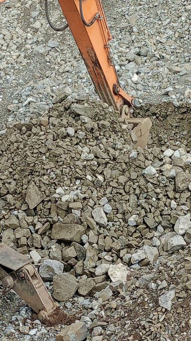 Скальник мелкий и крупный