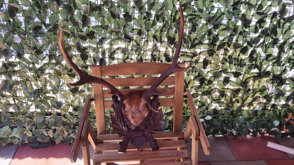 Panoplie coarne Cerb