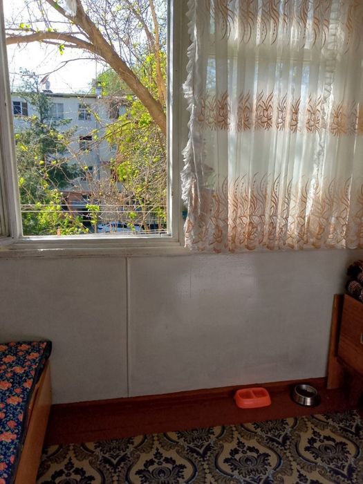 N7400 Olmazor tumani Qora qamish 1/3.   1/3/4