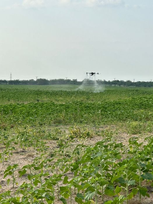 Prestez tratamente fitosanitare cu drona dji agras t50