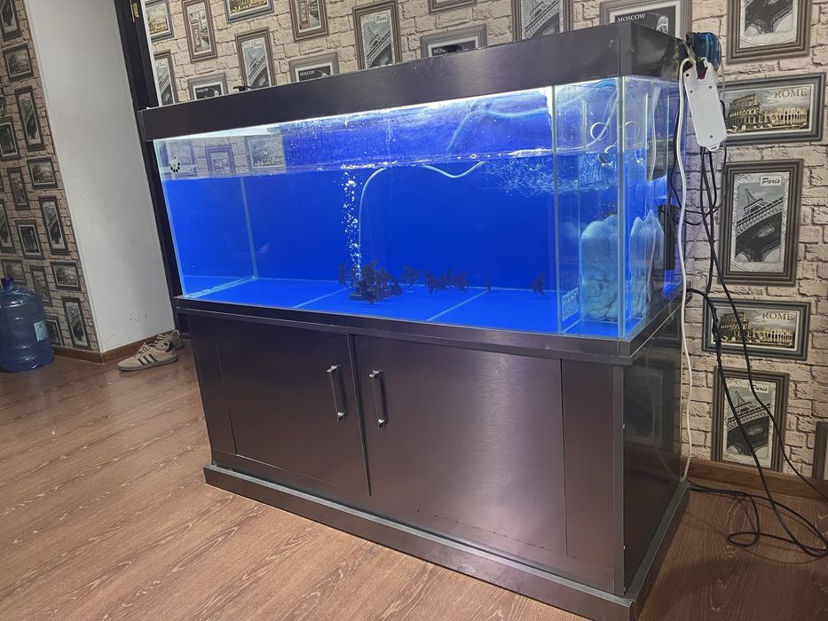 Akvaryum satiladi 3 mln ga berip jiberemen