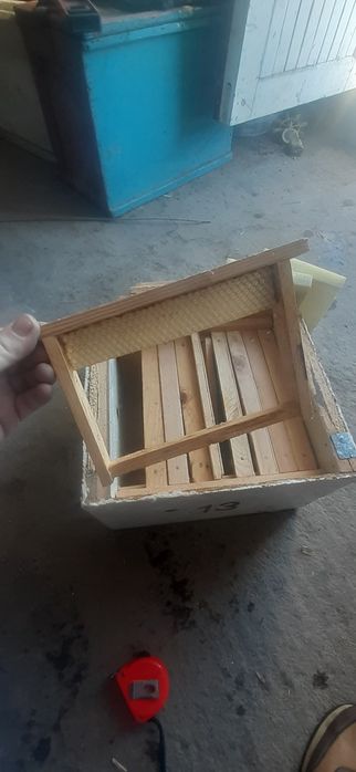 Микронуклеусы для пчёл