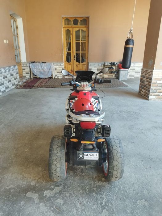 6 oy garantiyasi bilan