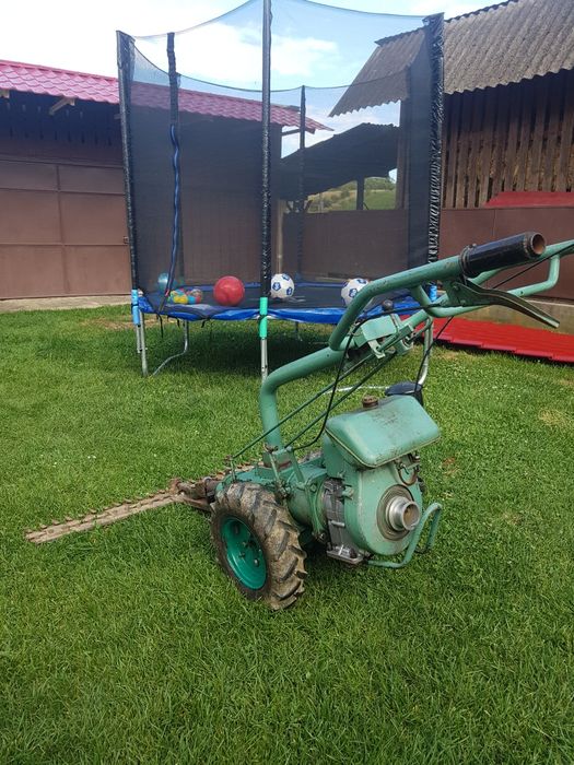 Cositoare românească (nu Carpatina)