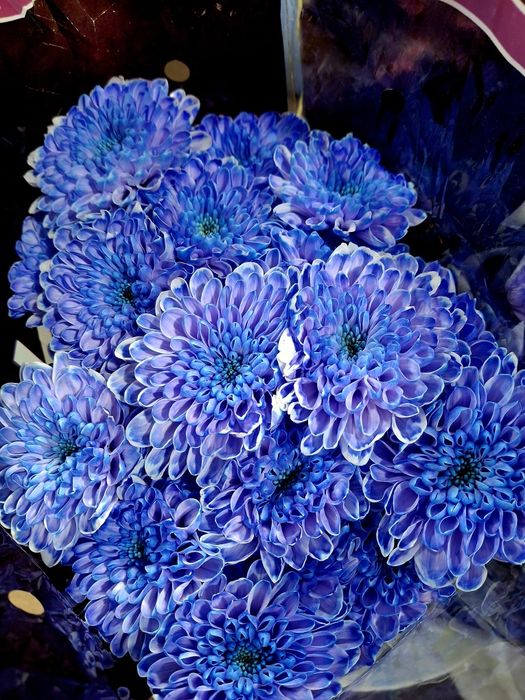 Цветы в ассортименте по оптовым ценам.