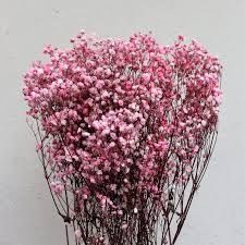 Сухоцветы / Гипсофилы букет