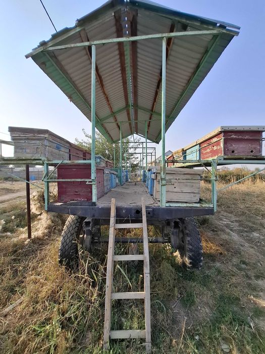 Пасека, пчелопавильон