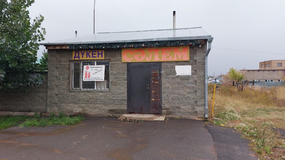 Продам Дом с бизнесом