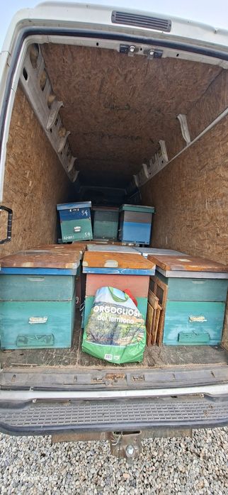 Transport marfa mobila mutari relocari debarasari nonstop