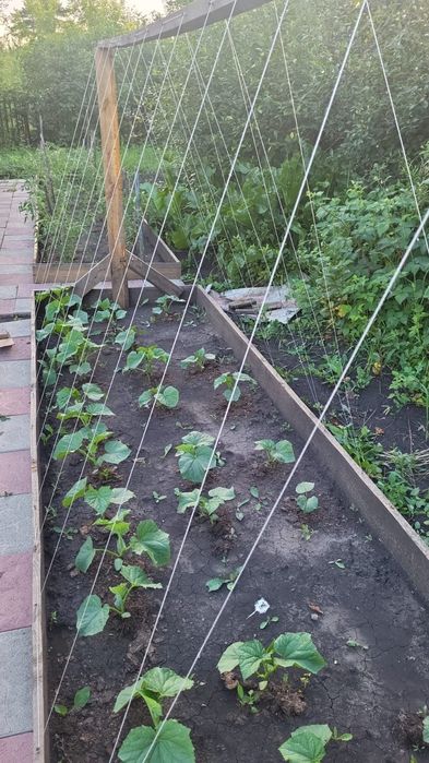 Продам дачу Ромашка