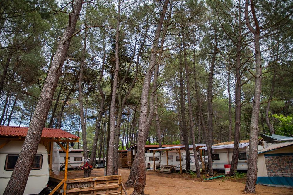 Каравана под наем “Кралицата"