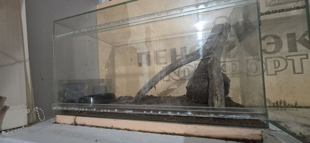 Продаю террариумы