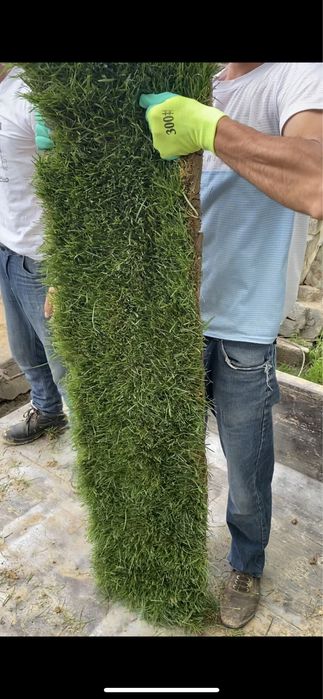 Газон (Gazon), Автополив, ландшафтный дизайн