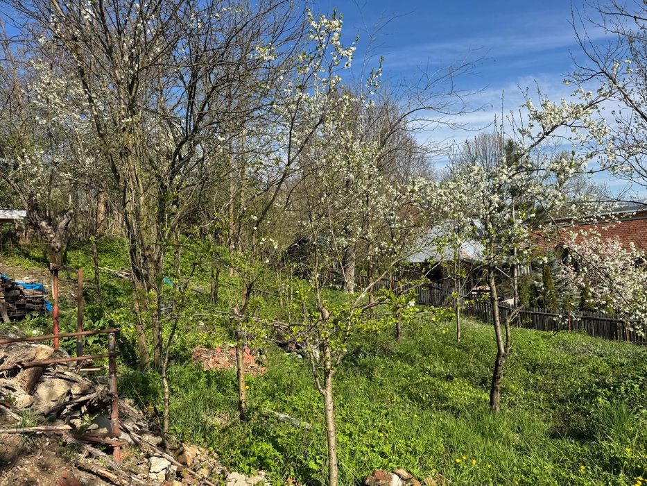 Provita de Sus (Plaiu) casa + teren 700 mp de vânzare