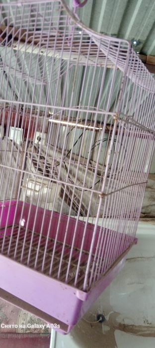 Клетка для птиц 2 шт