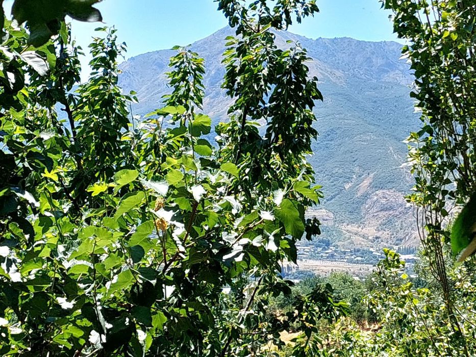 Yer sotilar 16 sotik 2 hona uyi bor