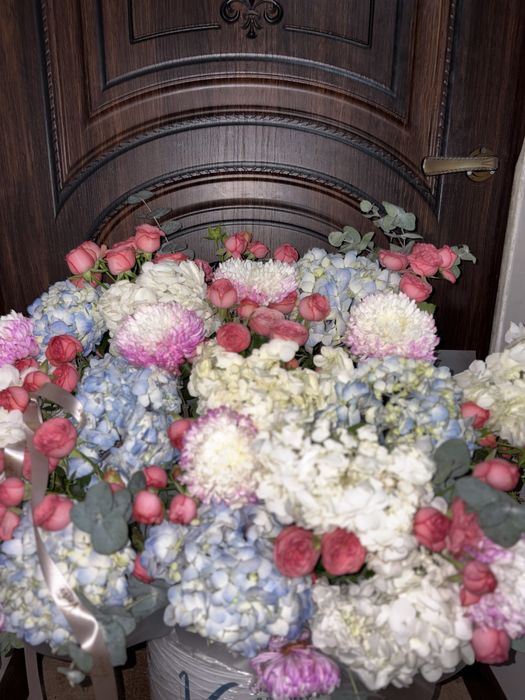 новый гул хабарласн