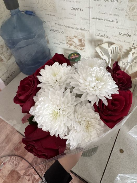 Продам цветы зво