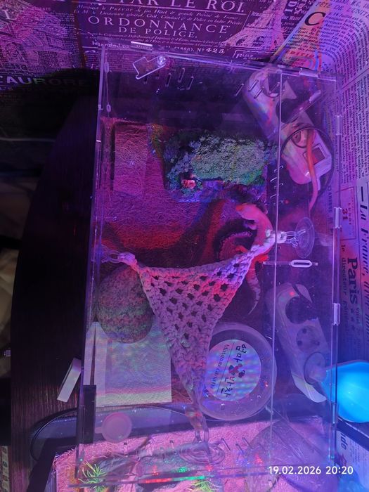 Эублефар +террариум