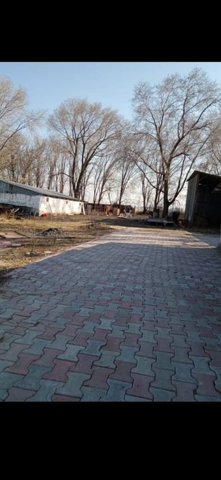 уй сатамын Теренкра ауылнда