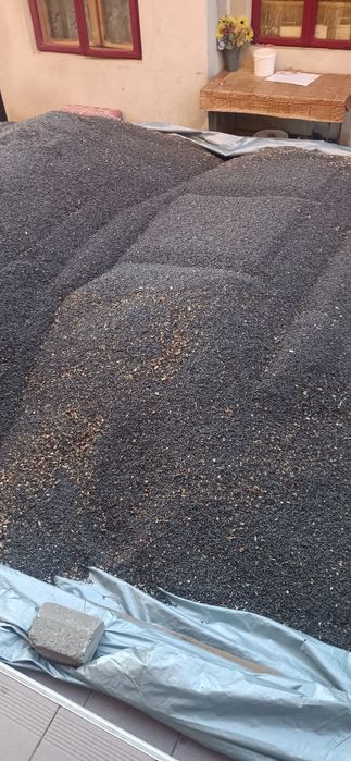 Vînd floarea soarelui