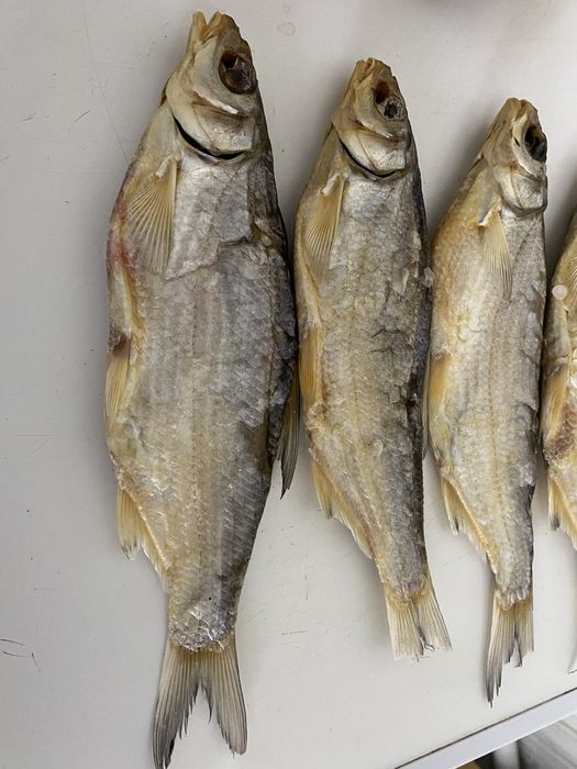 Вяленая рыба вобла/рыбец