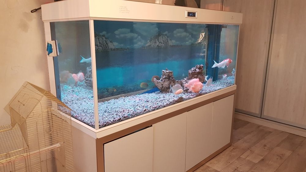 Продам мини аквариум