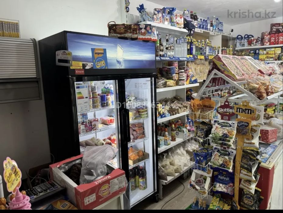 Магазин с квартирой