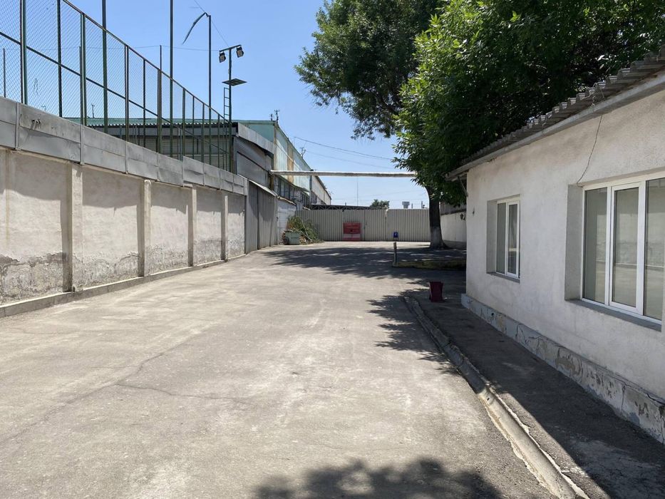 Помещение под офис и организация