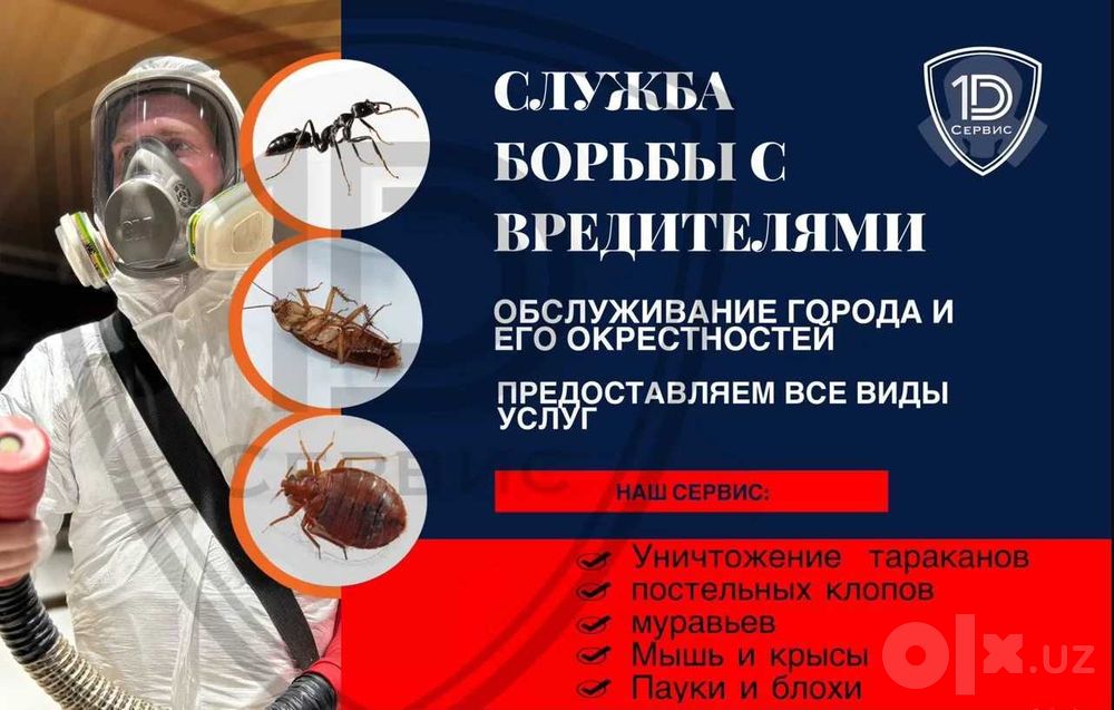 Dezinfeksiya kvartira ofis dom hovli klop klapa tarkan burga клоп блох
