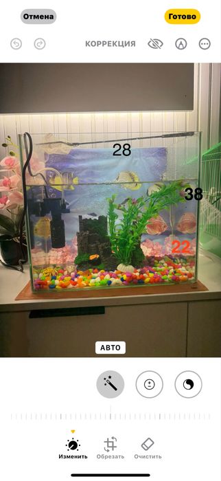 Аквариум с набором.                        .