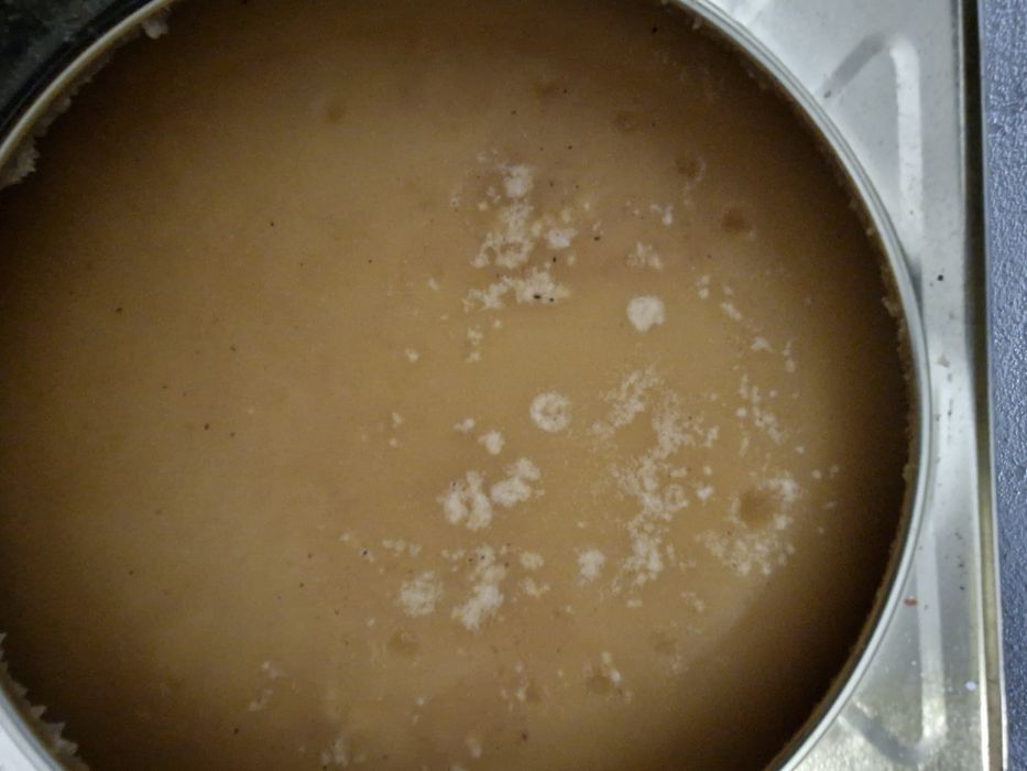 Пчелен билков мед 2025г за Велико Търново