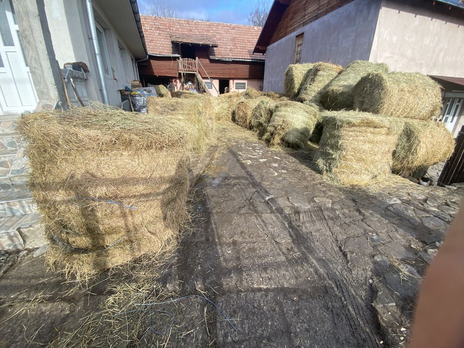 Vand  baloti lucernă