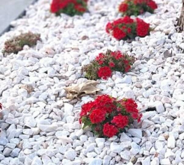 Бял декоративен камък(чакълен]за декорация и украса на дворни площи