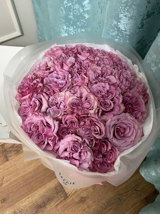 Сегодня купили 25 штук